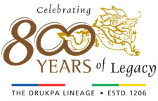 800y-logo-fa2
